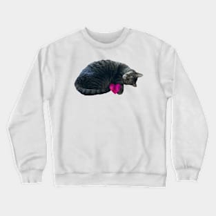 Little Thief Crewneck Sweatshirt